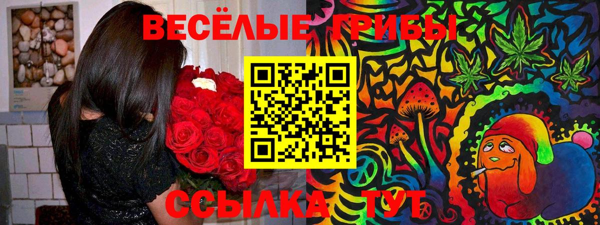 Черняховск  Галлюциногенные грибы прущие грибы  Вход с VPN 